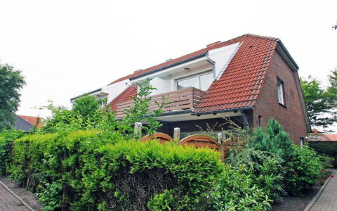 Blinkfeuer: Planta, Cielo, Edificio, Árbol, El Terreno Del Lote, Arbusto, Barrio, Plantas Leñosas, Diseño Urbano