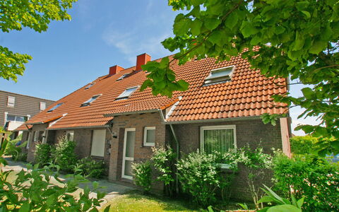 Norddeich 740: Planta, Edificio, Cielo, Propiedad, Ventana, Verde, Naturaleza, Casa, Paisaje Natural, Árbol