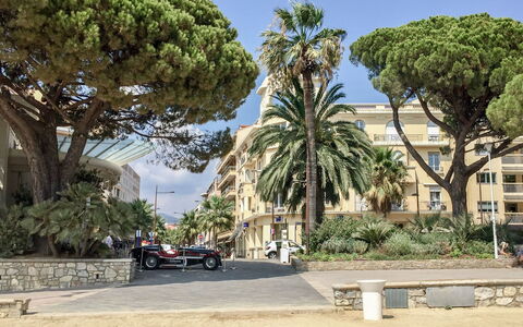 Les Sirènes: Cielo, Planta, Edificio, Árbol, Superficie De La Carretera, Sombra, Arecales, Diseño Urbano, Rueda, Plantas Leñosas