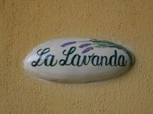 Alojamiento:&nbsp;Lavanda