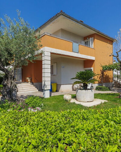 Umag 119