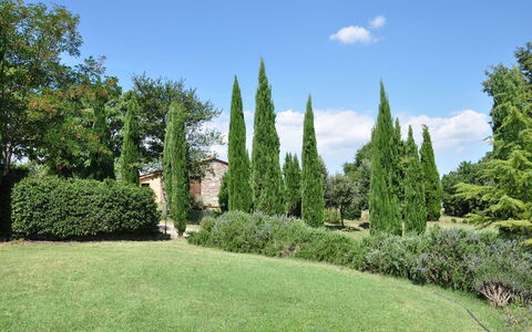 Le Querce Di Campocane: Árbol, Hierba, Jardín, Thuya, Arbusto, Césped, Planta, Jardín Botánico, Propiedad, Plantas Leñosas