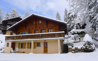 Chalet le Hibou