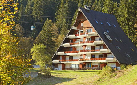 Anémone 2 16: Planta, Edificio, Ventana, Paisaje Natural, Árbol, Pendiente, Casa, Biome, Plantas Leñosas, Paisaje