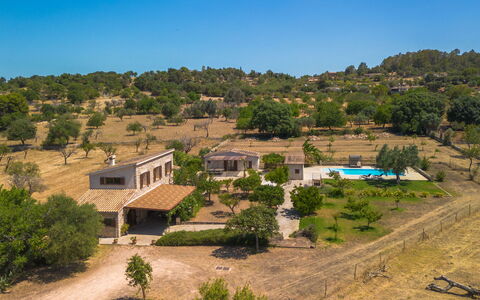 Cas Ciutada: Árbol, Inmuebles, Casa, Área Rural, Casa De Campo, Hacienda, Villa, Sombra, Eco Hotel, Yarda