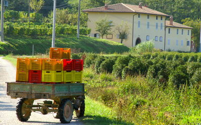 Montecatini Terme 810