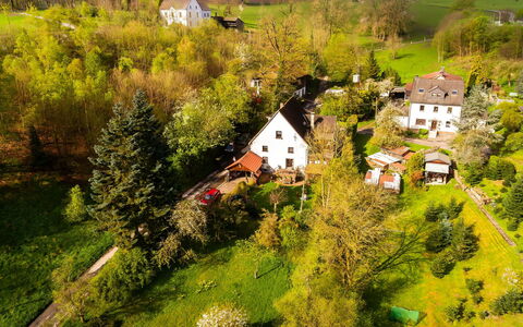 Haus Keller: Planta, Edificio, Árbol, Paisaje Natural, Casa, Ventana, El Terreno Del Lote, Vegetación, Barrio Residencial, Hierba
