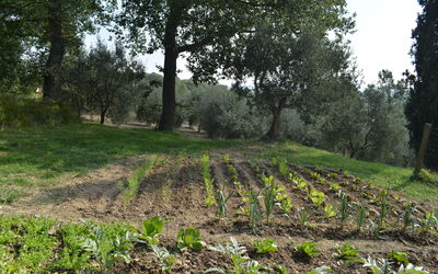 Casale Biancospino